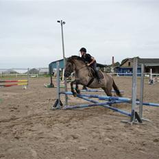 Anden særlig race Søstrenegaards Milla