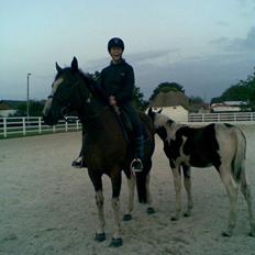 Pinto Elmegårdens Pandora