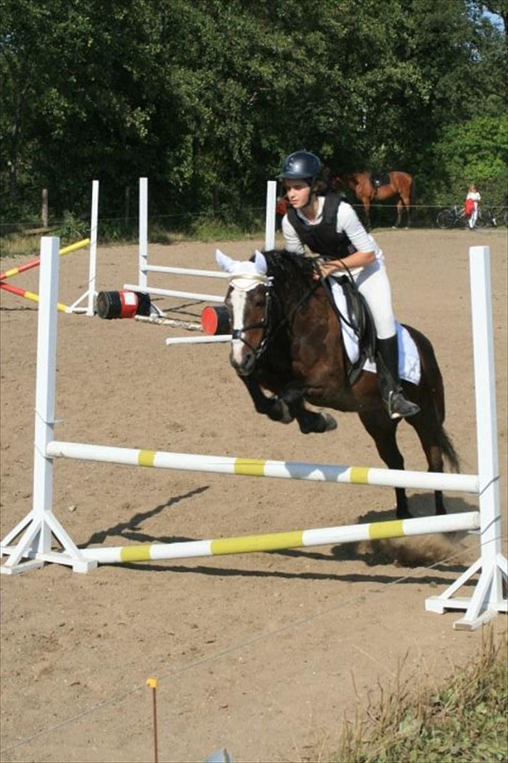 New Forest STELLA - Springstævne Ris 2009 billede 6