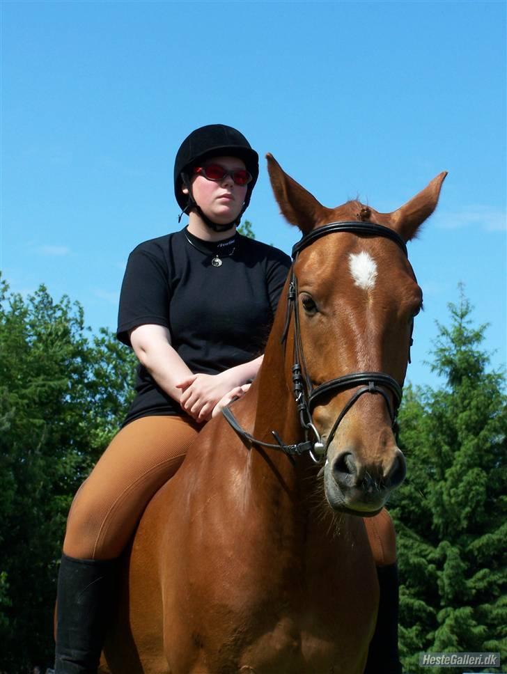 Anden særlig race Lord Castao "Dumle" - Castao med gamle ejer taget af Andrea(Den Ædle Ganger)  billede 10