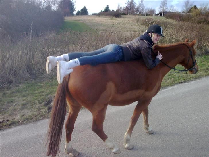 Anden særlig race Lord Castao "Dumle" - Aiij miiig og castao laver lidt sjov ;p  billede 13
