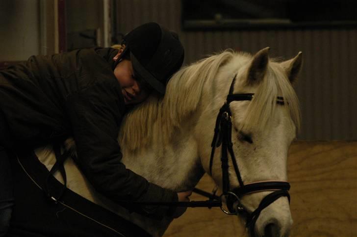 Tysk Sportspony Baloo **SOLGT** - Åhh, en dejlig hyggestund efter endt ridt billede 15