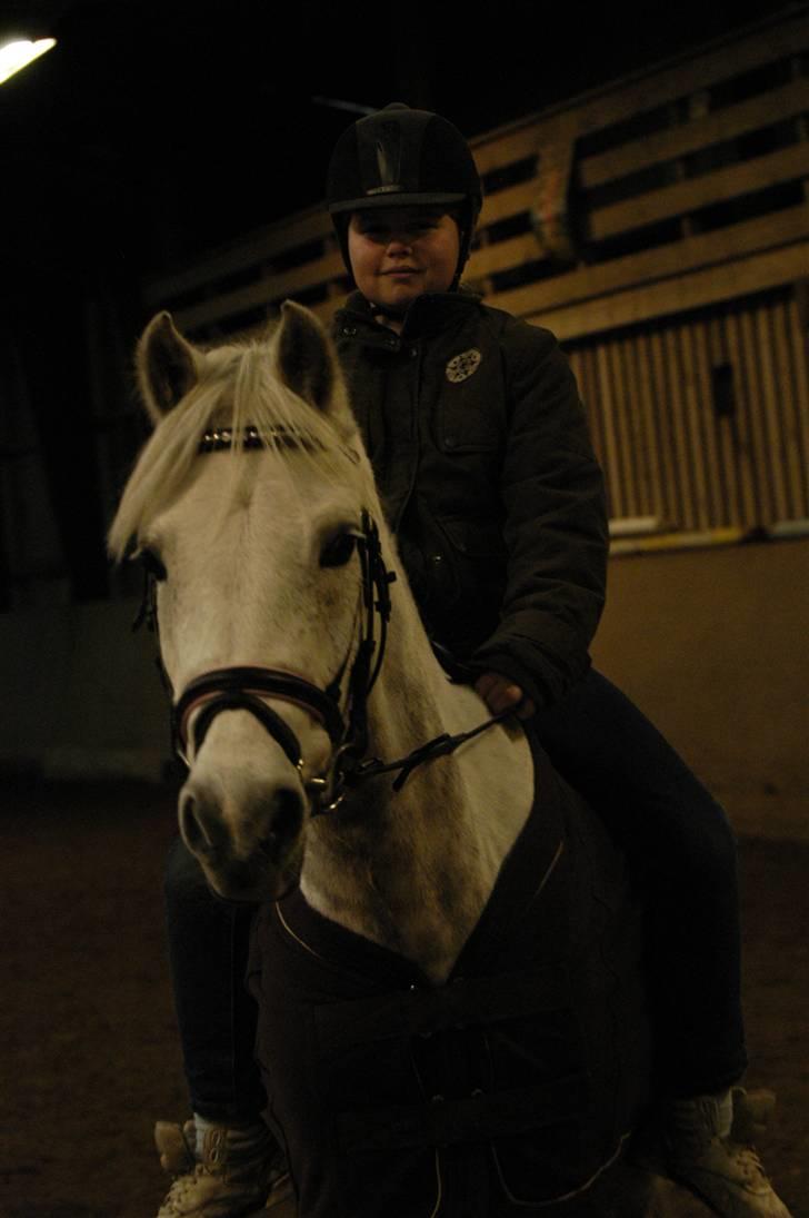 Tysk Sportspony Baloo **SOLGT** - jeg elsker dig Baloo billede 16