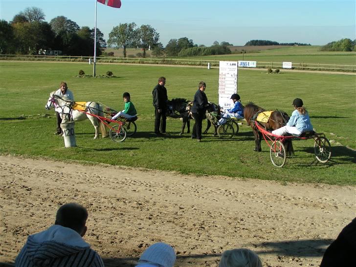 Anden særlig race aqua lene *Gamle part* R.I.P billede 8