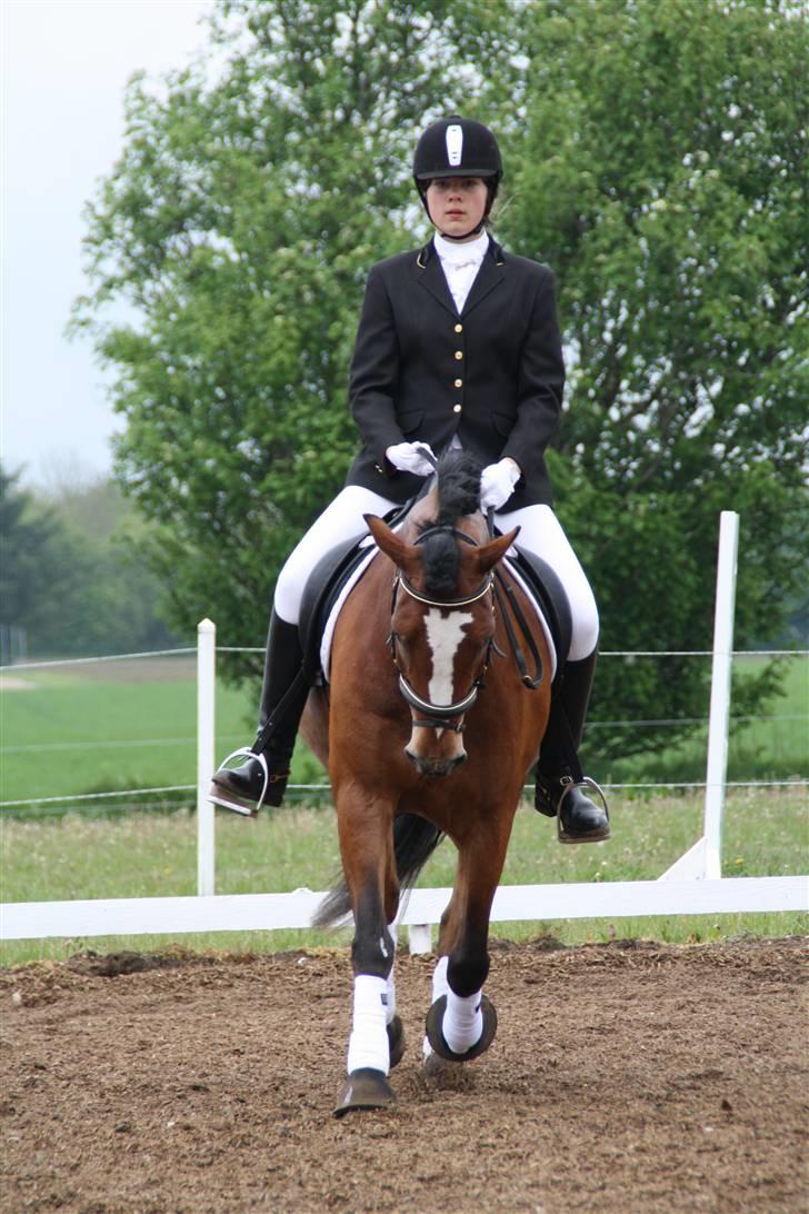 New Forest Flintdales Eu - første LB1 172 p. :-D  billede 19