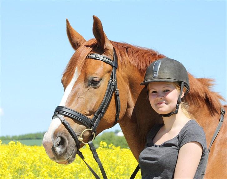 Dansk Varmblod Ka-dó - SOLGT - Bassen og jeg - Foto: Nicoline Wolk billede 12