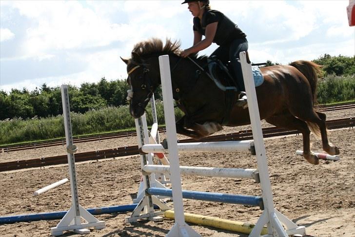 Anden særlig race Donjuan Solgt:/ - Velkommen<3 billede 1