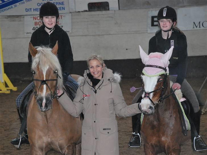 Haflinger Herkules - sendt hjem :/ - Til kursus ved Tina Lund :D Foto: Michelle billede 2