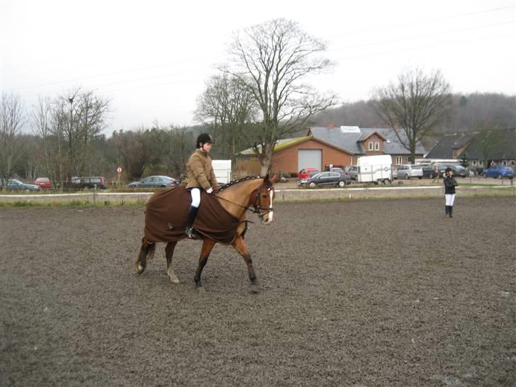 Anden særlig race Chili Con Carne - Chili og jeg til vores første (: <3 Julestævne 2009. billede 16