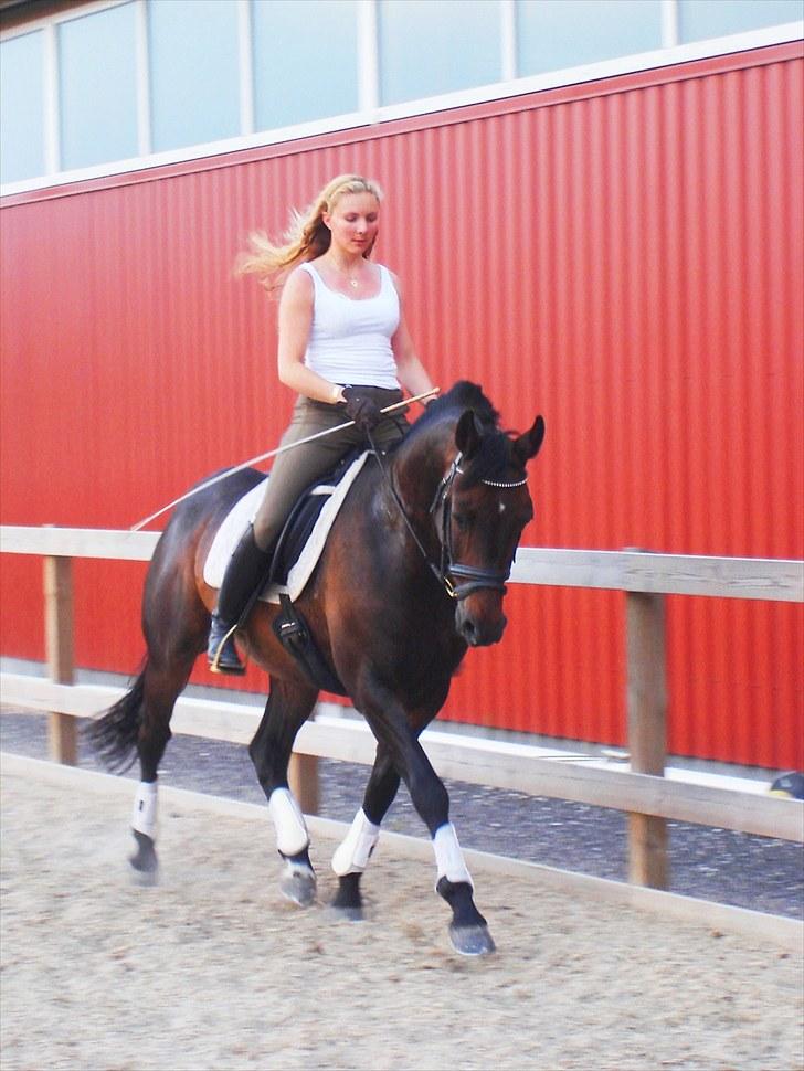 Holstener Escobar - Sommer 2010 billede 15