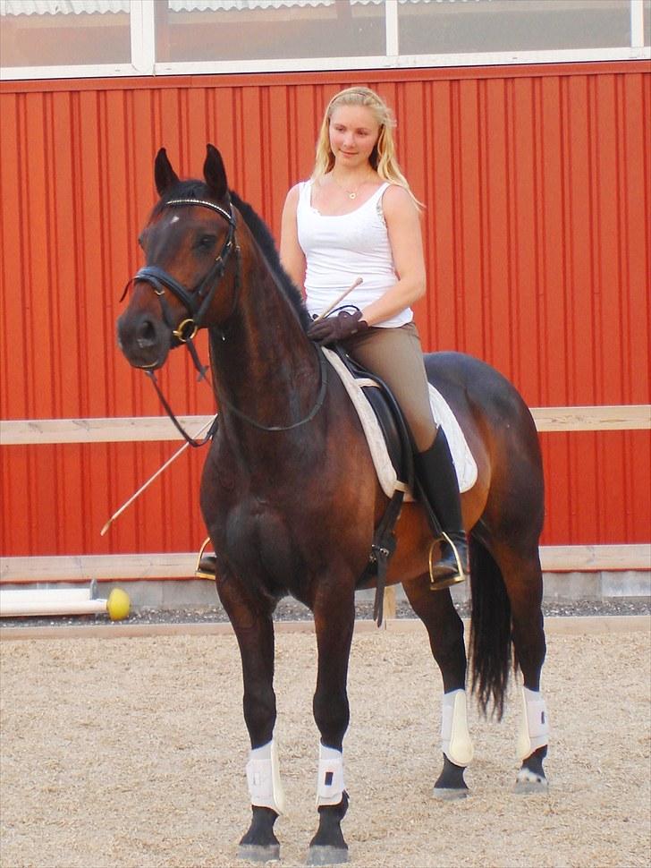 Holstener Escobar - Sommer 2010 billede 16