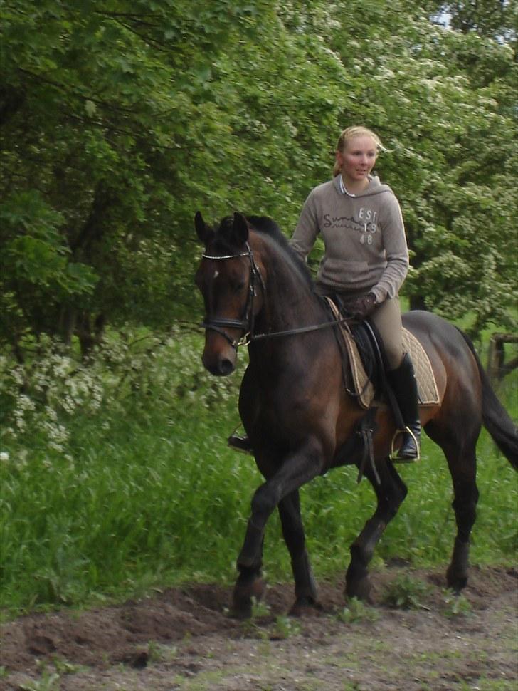 Holstener Escobar - Forår 2010 billede 18