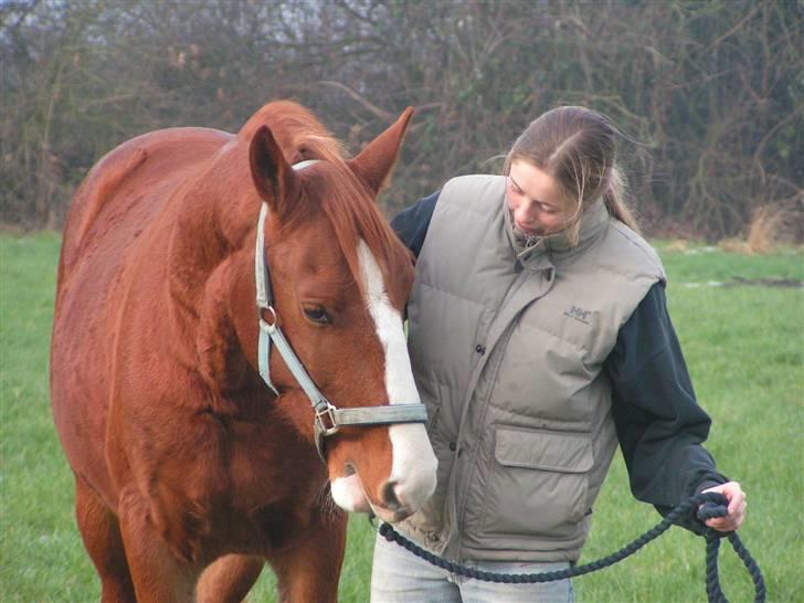 Frederiksborg Kenzo billede 1