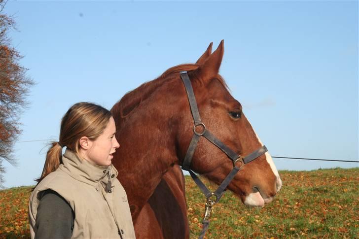 Frederiksborg Kenzo billede 2