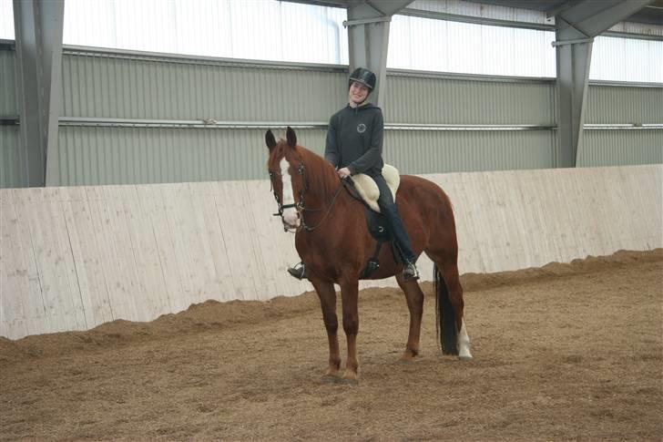 Frederiksborg Kenzo billede 3