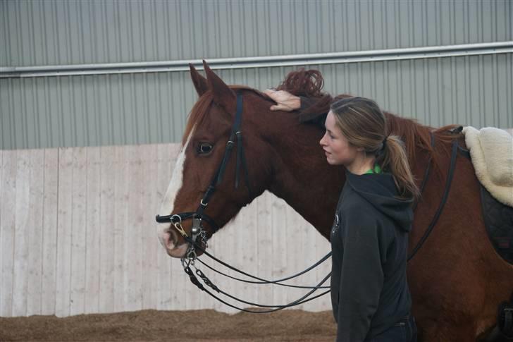 Frederiksborg Kenzo billede 4