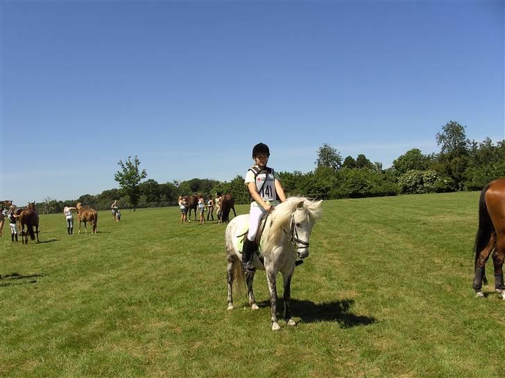 Anden særlig race Charlie- gammel part - mig og charlie til hippoaden;-) billede 13