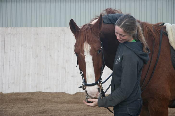 Frederiksborg Kenzo billede 6