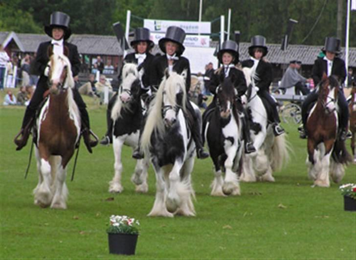 Tinker Holms Carona billede 6