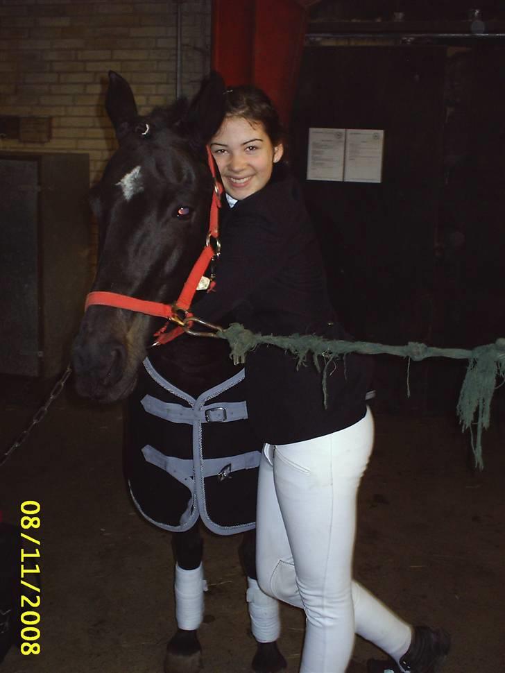 Anden særlig race Faithfull Frenchy - efter stævnet bestod ryttermærke 4 i stævne dellen så var mega glad billede 15