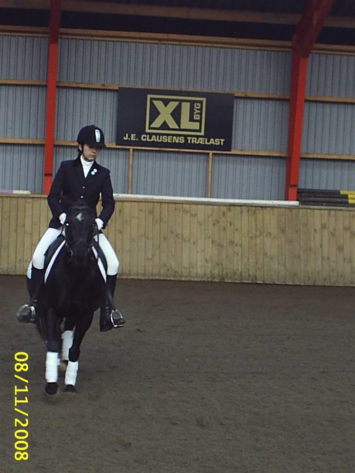 Anden særlig race Faithfull Frenchy - til stævnet ved godt jeg ligner en eller anden mongol men var sgu lidt bange hehe :):) billede 17