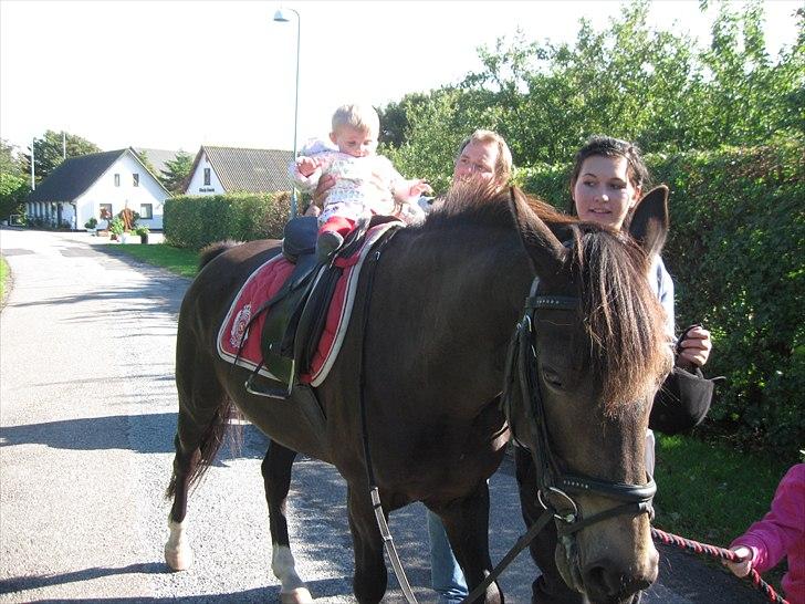 Anden særlig race Bailey - Sommer 2010 billede 18