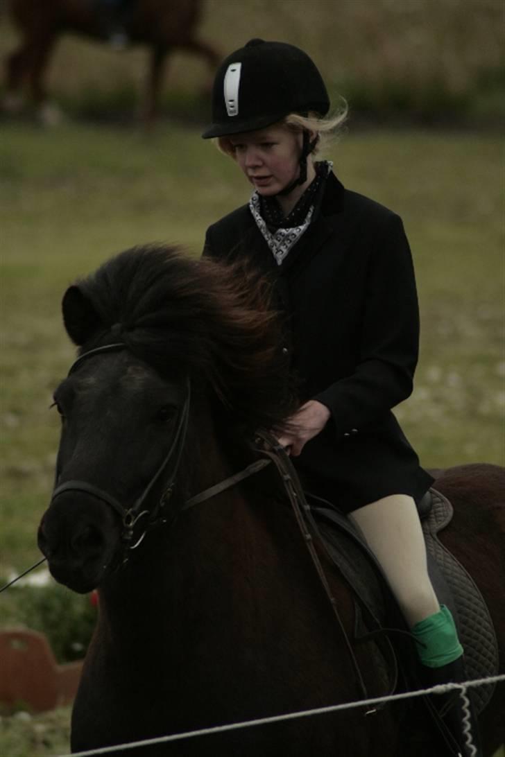 Islænder Illur fra Reskelund2  - Tölt. stævne (; billede 13