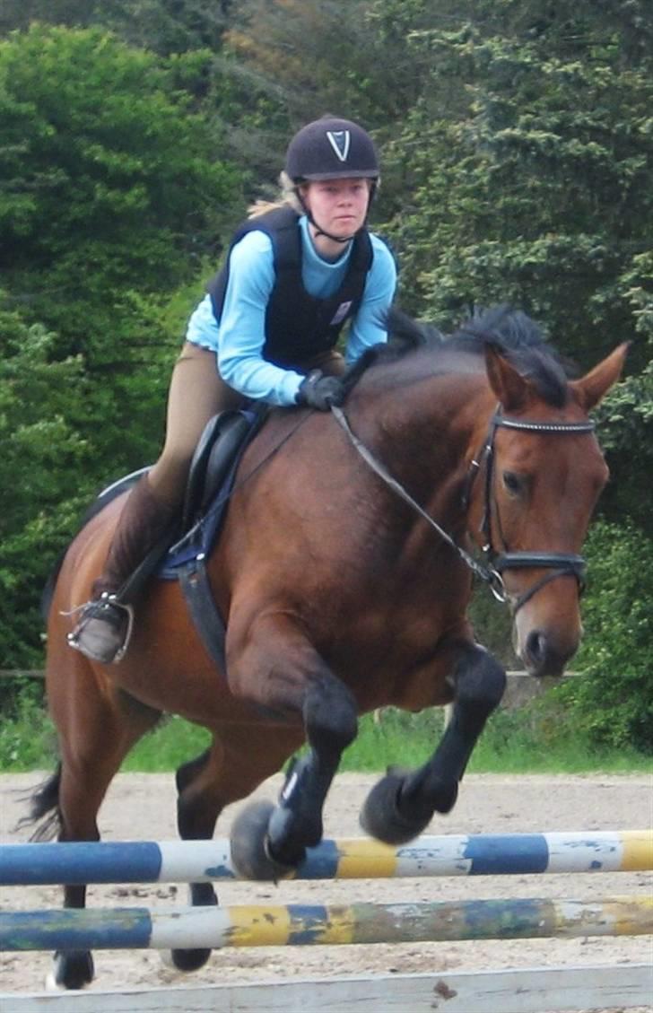 Oldenborg Mon Cherie - Så smuk ;o) billede 1