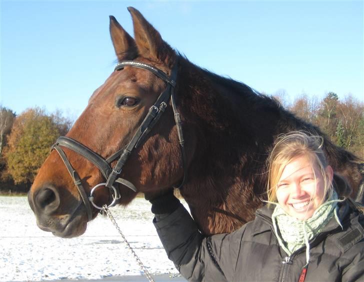 Oldenborg Mon Cherie billede 2