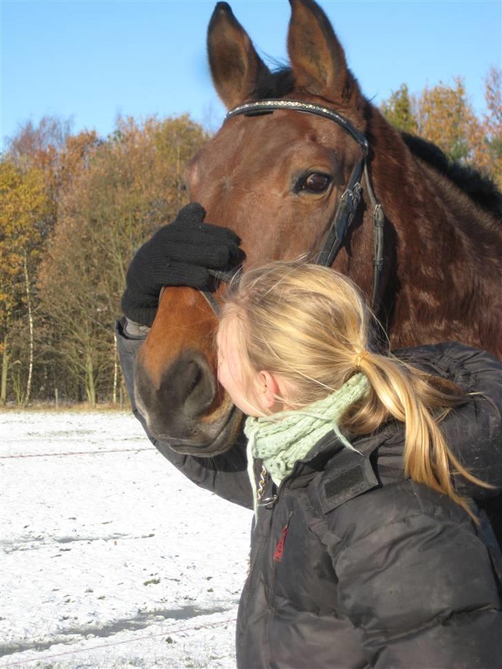 Oldenborg Mon Cherie - Et lille julemøs :-D billede 3