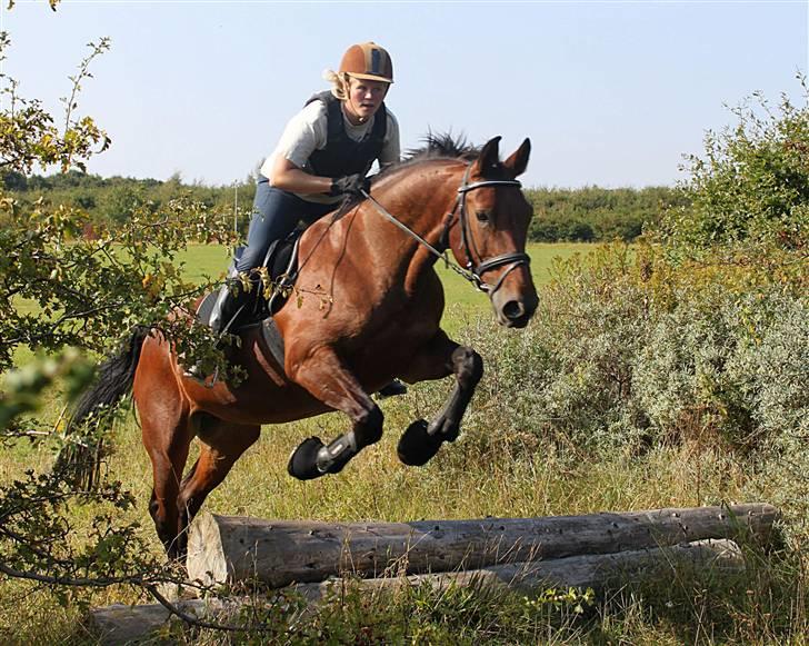 Oldenborg Mon Cherie - Sara og Cherie til terrænspring, GLK 2009 billede 4
