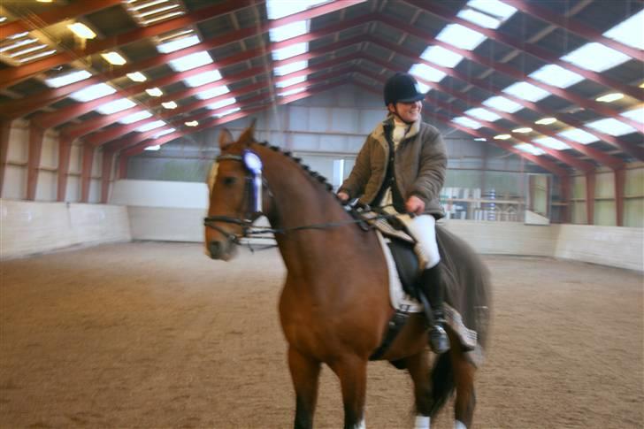 Dansk Varmblod Agat   - Første stævne <3 billede 10