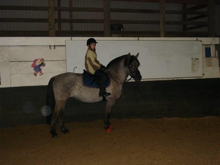 Anden særlig race Søstrenegaards Milla billede 4