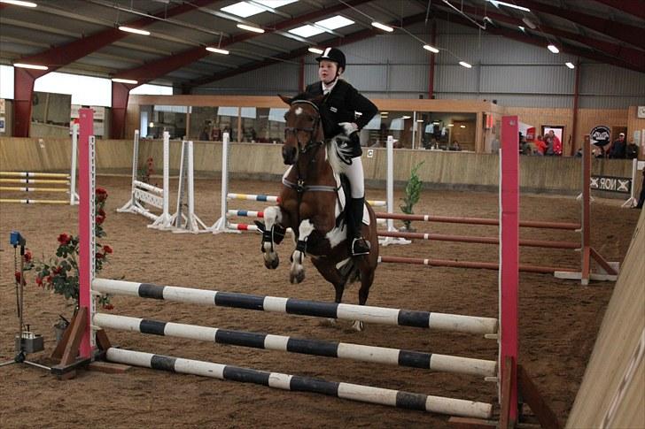 Pinto kærgårds couler lady SAVN - 12.vores føste c-stævne taget af emilie j billede 12