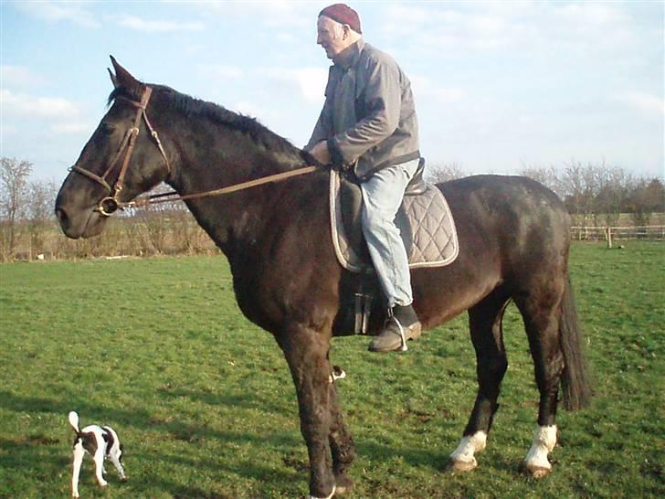 Oldenborg ¤  Madchen ¤   - Manden på madchen er 80 år        Feb 2008 billede 4