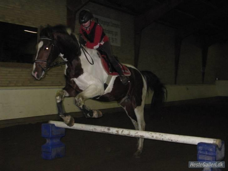 Pinto Hoelgaard´s Ferrari Enzo  - Så dygtigt ^^ SAMME ;D Foto : Michelle ^^  billede 18