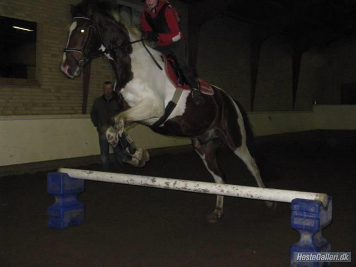 Pinto Hoelgaard´s Ferrari Enzo  - Samme :D  billede 20