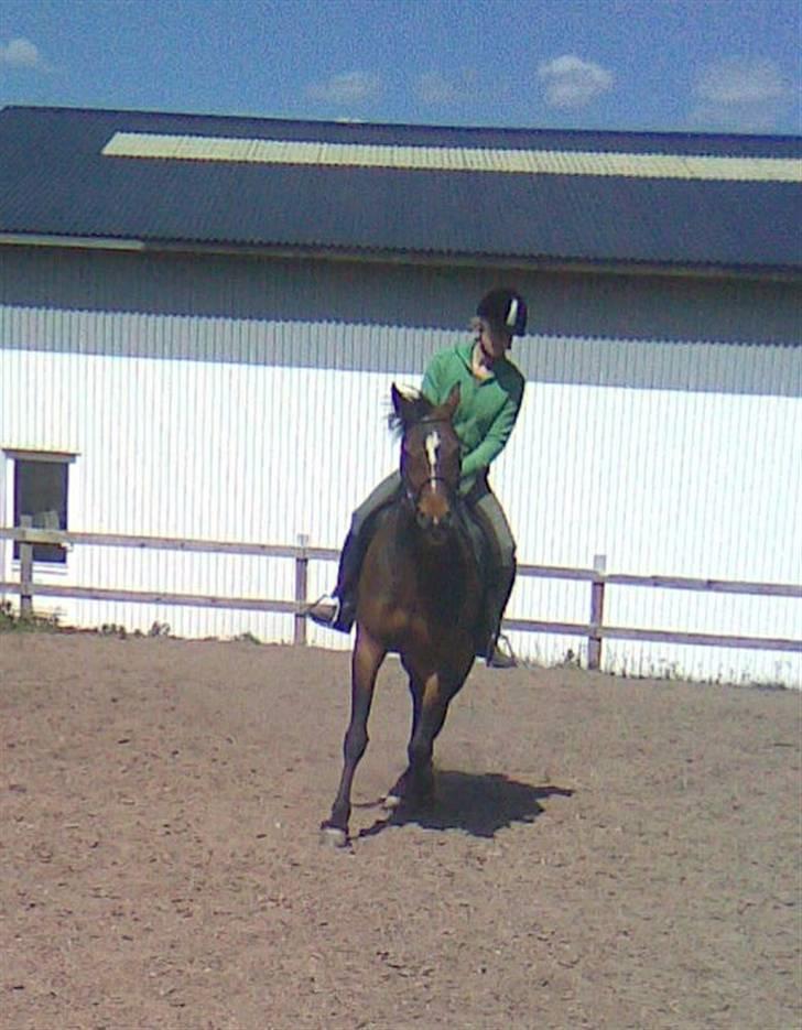 Traver Emcey billede 19