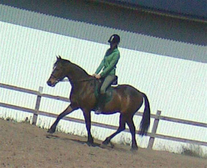 Traver Emcey billede 18