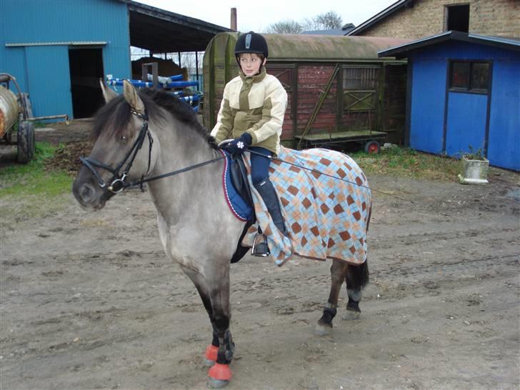 Anden særlig race Søstrenegaards Milla billede 9