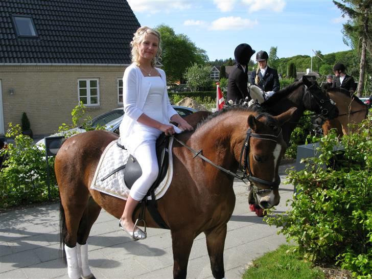 Welsh Pony (sec B) Bøgelygårds Martell - Rideskolen kom et smut forbi til min konfirmation.. Martellsen var så fin.(: Foto: Far. billede 14