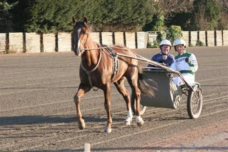 Traver Montana Sølvtop - Montana går model til en reklame , med de to tosser jeg arbejder sammen med i Roadcar´en :) billede 13