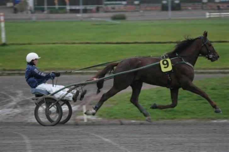 Traver Montana Sølvtop - Varmer op igen :) billede 14