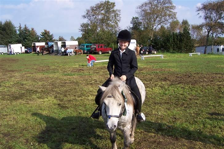 Anden særlig race BENT - Hihi.. Har lige fået 3. plads, er så stolt af min lille Bent.. Hans første stævne<3 billede 9