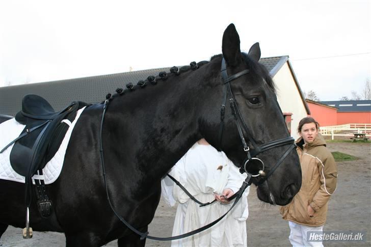 Oldenborg O'dondy  - odondy til Luciaoptog. billede 15