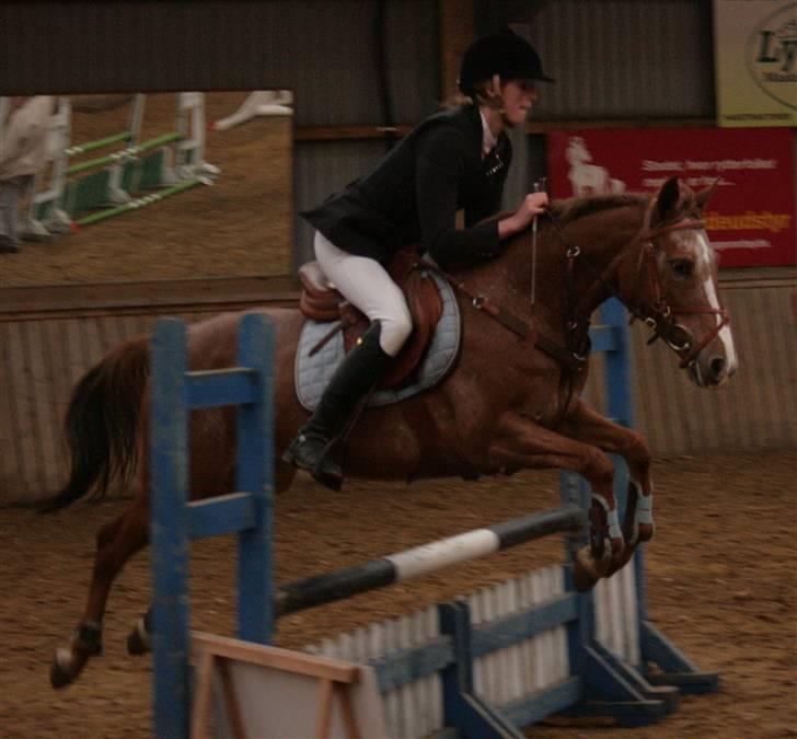 Anden særlig race SWEET CHERRY {b-pony} - mig og cherry, lb billede 11
