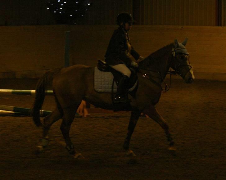Anden særlig race SWEET CHERRY {b-pony} - 2008 billede 12