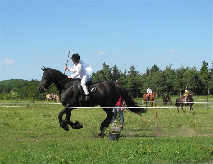 Frieser Oukje (Nellie) - Nellie og Louise til ringridning billede 10