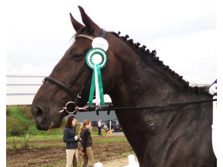 {{currentPhoto.altText}} billede {{currentPhoto.number}}