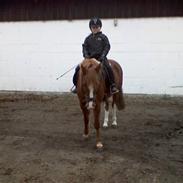 Anden særlig race Bubber